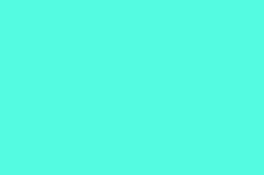 首页 - 流媒体网